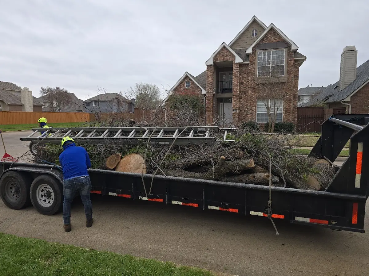 Expert Tree Removal with proper safety equipment in Randolph